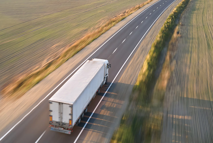 Comprehensive Foreign Trade Support